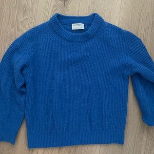 Everlane oversized alpaca crew